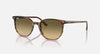 RayBan (RB2197) Elliot Sunglasses, 50/19