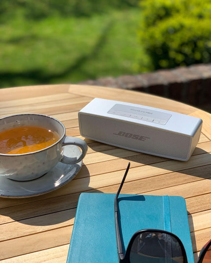 Bose SoundLink Mini Bluetooth® speaker II – Special Edition - Luxe Silver
