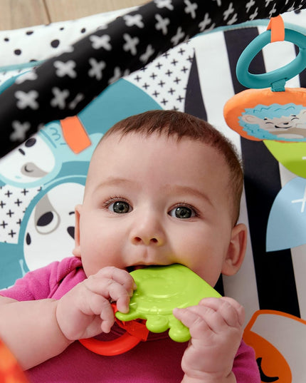 Fisher-Price 3-in-1 Gym Activity Play Mat