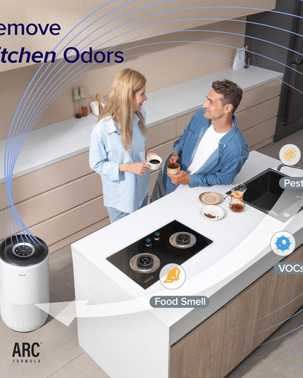Levoit Air Purifier