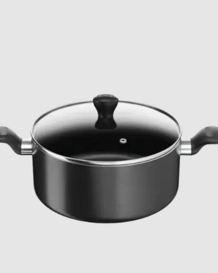 Tefal Professional non-stick Stewpot, 24cm